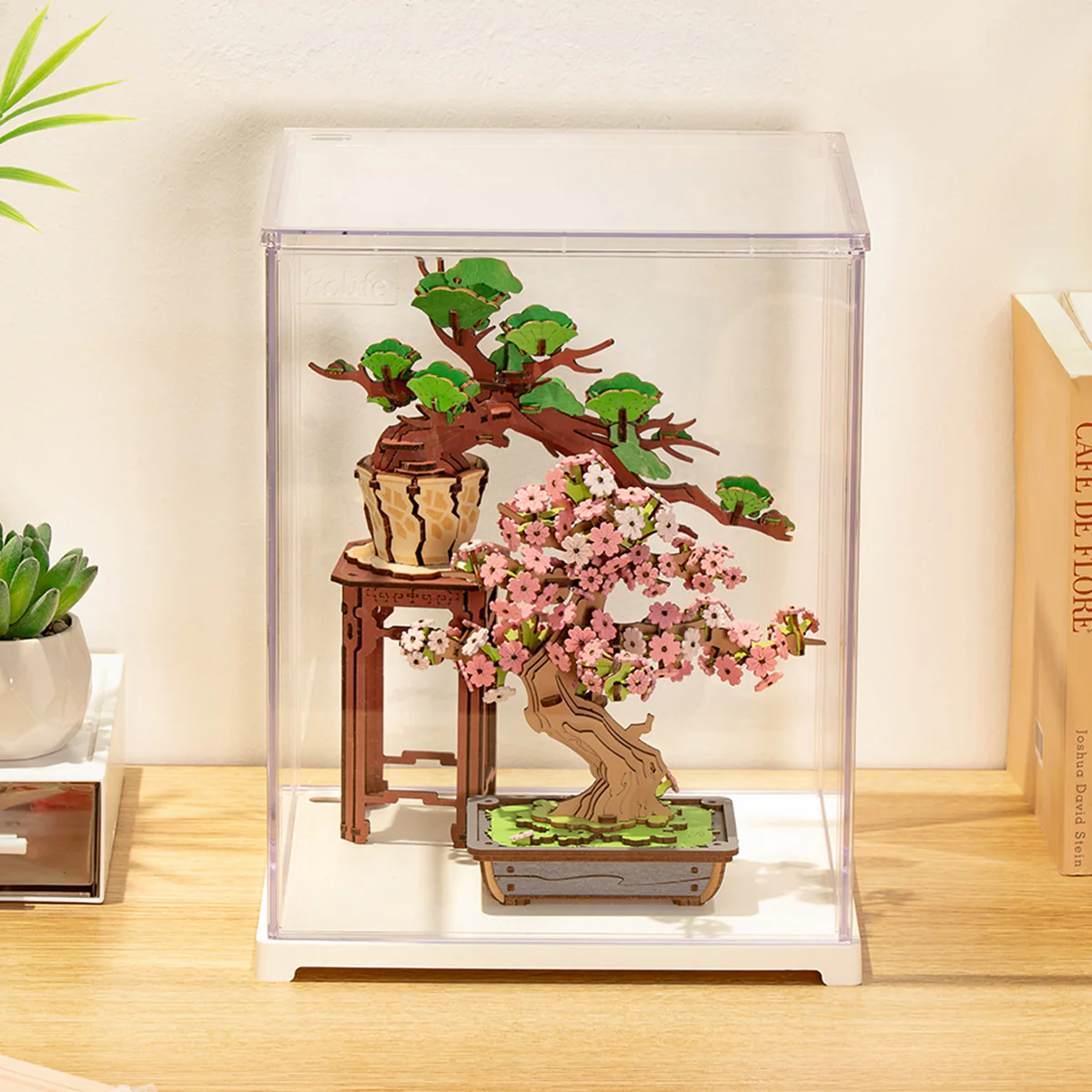 Rolife Clear Display Case Portrait Size M DF05L - Image 3